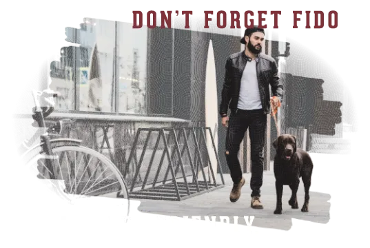 Don't forget Fido - We are pet friendly